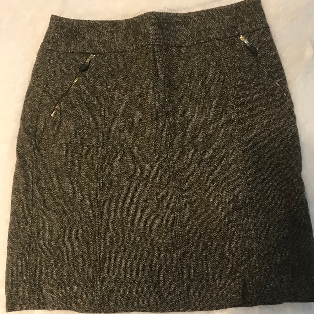 Ann Taylor Skirt